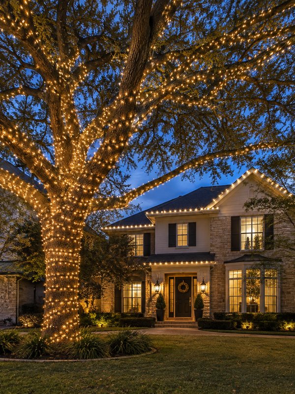 Home after Christmas light installation: wrapped oak & roofline